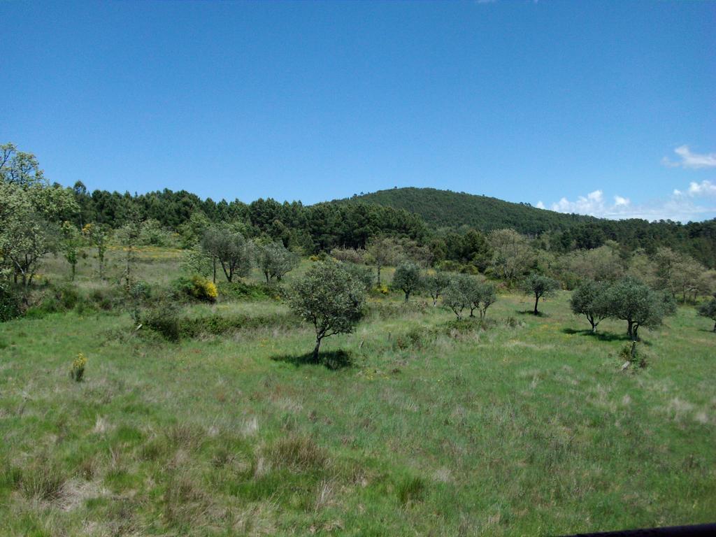 Quinta Do Mineiro-Serra Da Estrela Matanca Bilik gambar