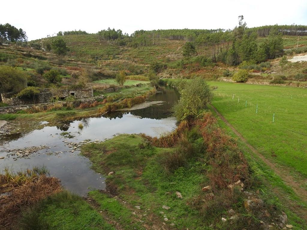 Quinta Do Mineiro-Serra Da Estrela Matanca Luaran gambar
